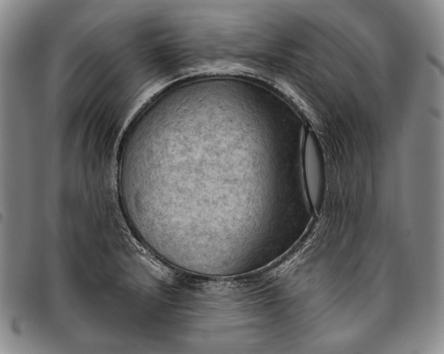 X0000096641232200802191212