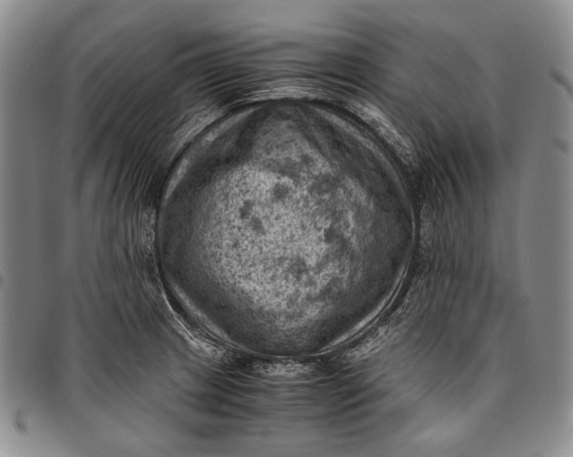 X0000096641233200802191212