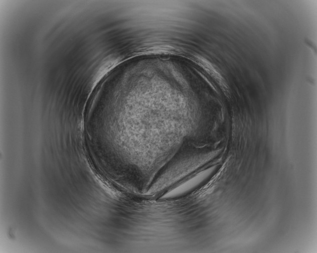 X0000096641234200802191212