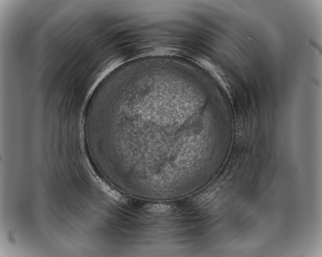 X0000096641235200802191212