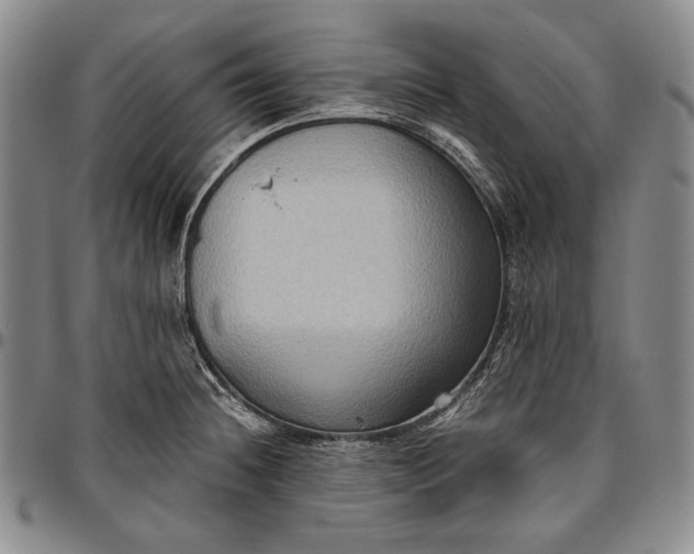 X0000096641236200802191212