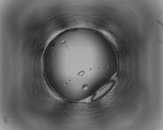 X0000096641238200802191212