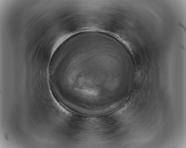 X0000096641239200802191212