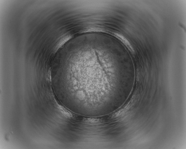 X0000096641241200802191212