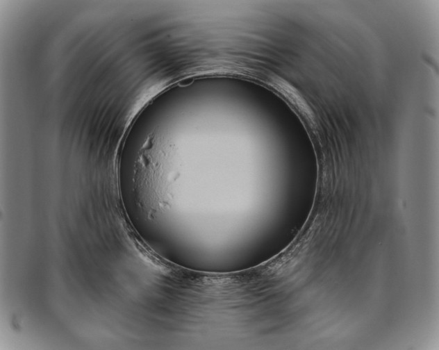 X0000096641242200802191212