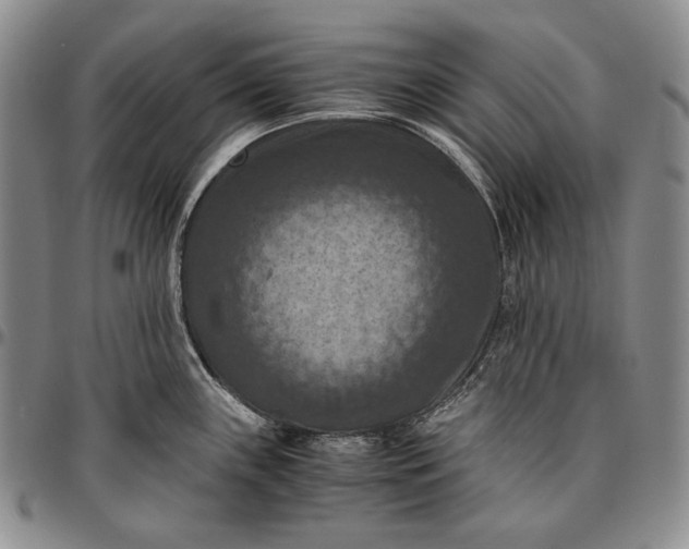 X0000096641243200802191212