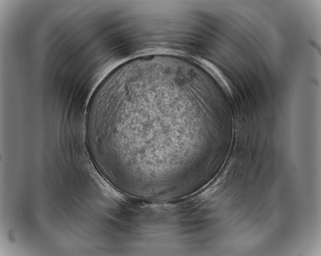 X0000096641244200802191212