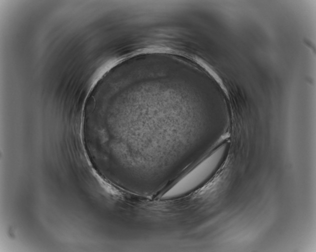 X0000096641245200802191212