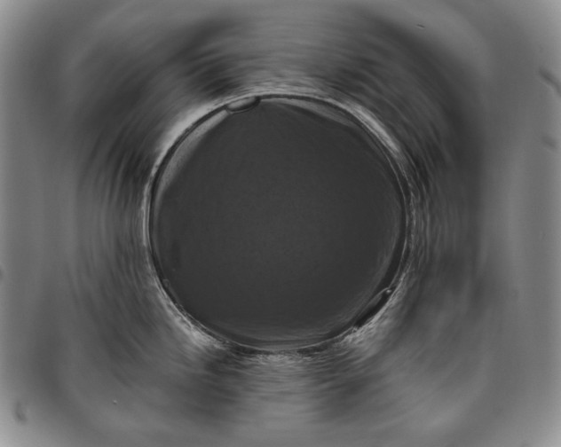 X0000096641246200802191212