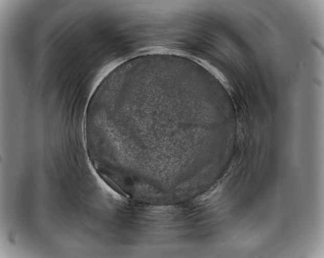 X0000096641247200802191212