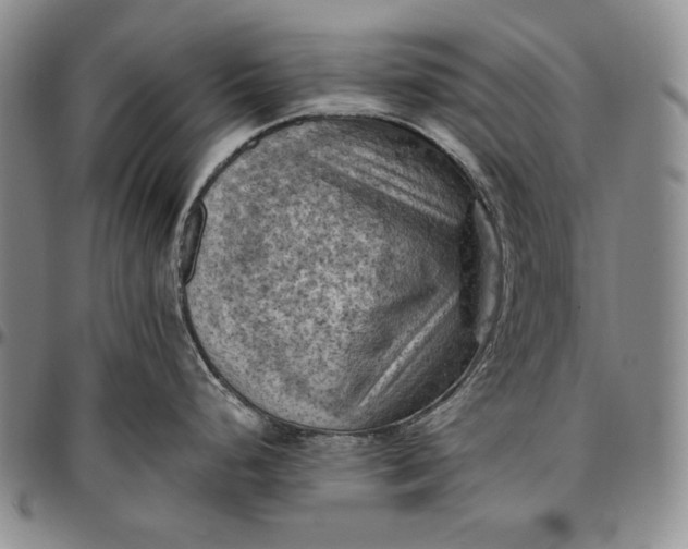 X0000096641248200802191212