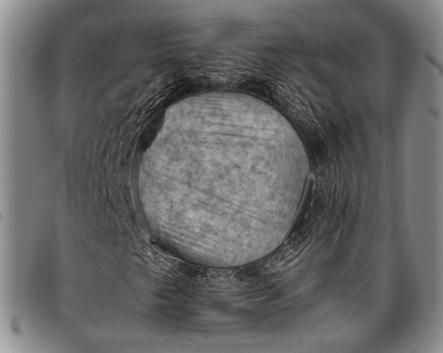 X0000096641249200802191212