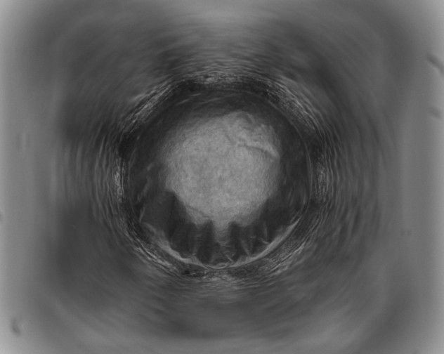 X0000096641250200802191212