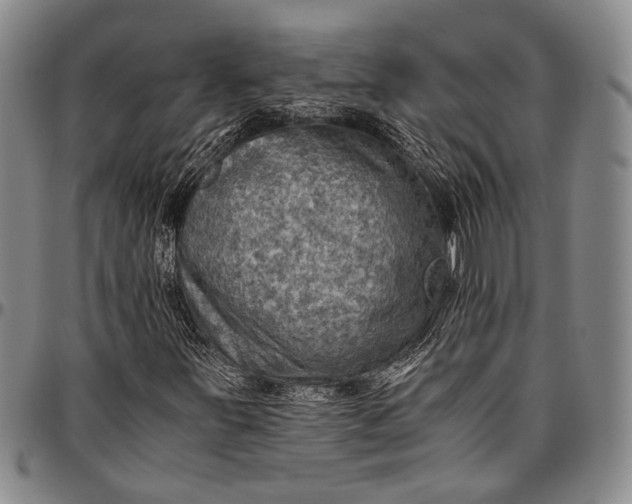 X0000096641251200802191212