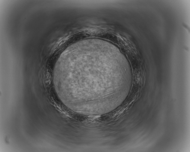 X0000096641253200802191212