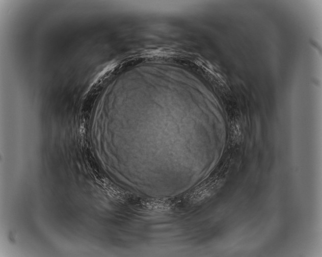 X0000096641254200802191212