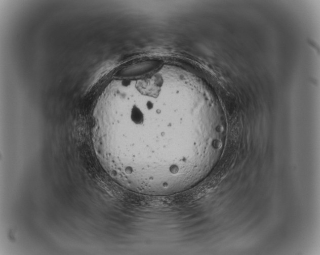 X0000096641255200802191212