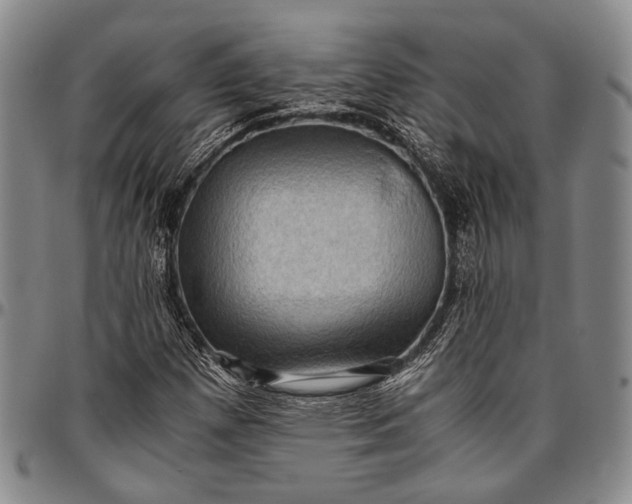 X0000096641257200802191212