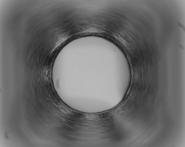 X0000096641258200802191212