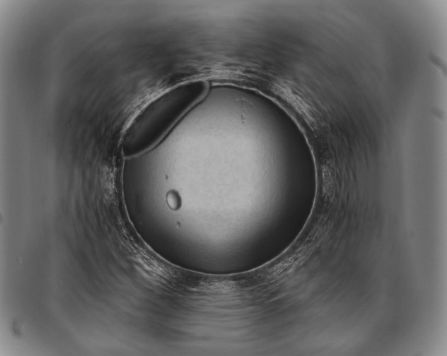 X0000096641260200802191212