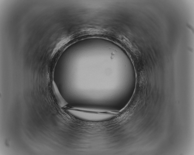 X0000096641261200802191212