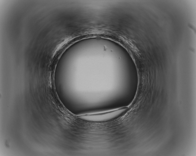 X0000096641262200802191211