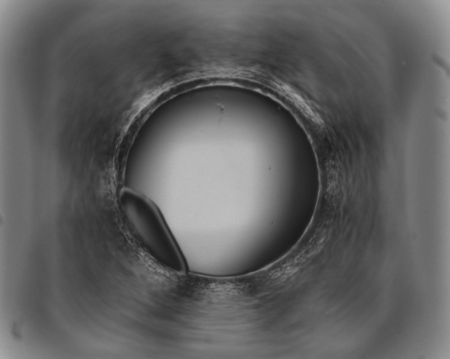 X0000096641264200802191211