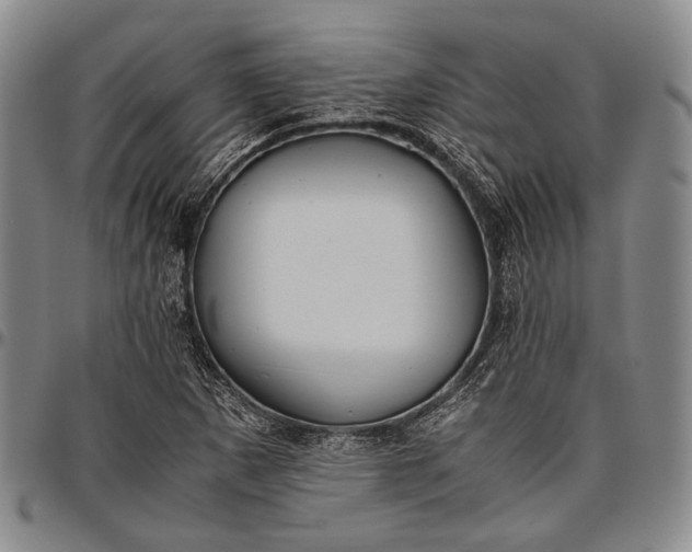 X0000096641265200802191211