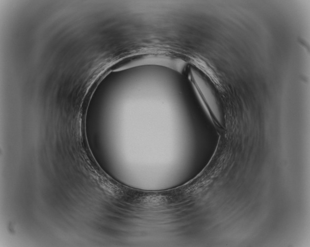 X0000096641268200802191211