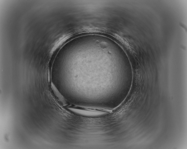 X0000096641269200802191211