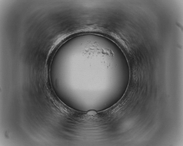 X0000096641270200802191211