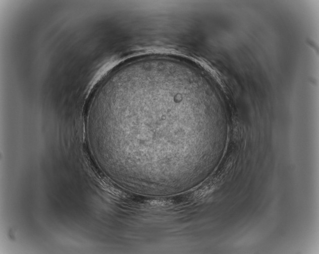 X0000096641271200802191211