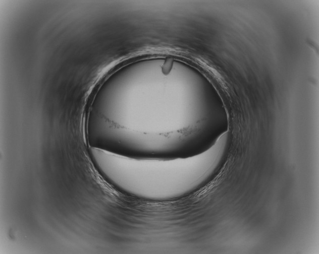 X0000096641272200802191211