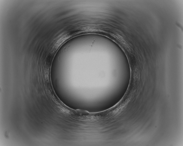 X0000096641273200802191211