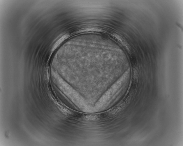 X0000096641274200802191211