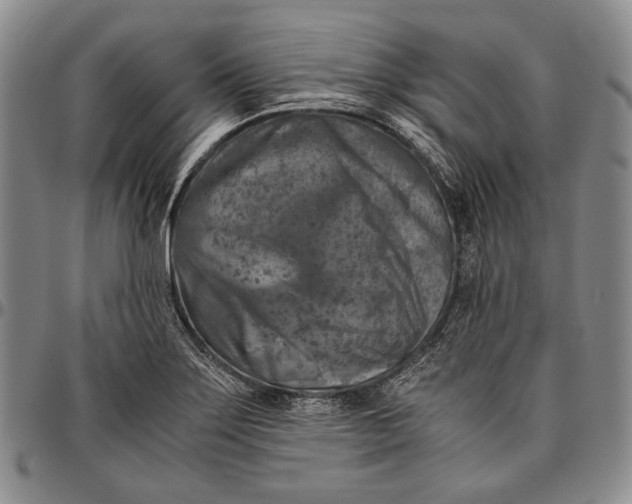 X0000096641275200802191211