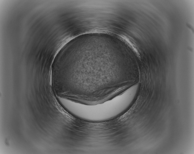 X0000096641276200802191211