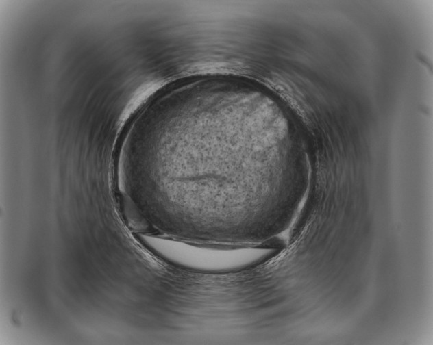 X0000096641277200802191211