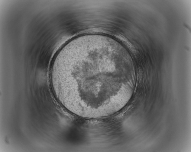 X0000096641278200802191211