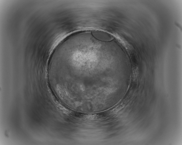 X0000096641279200802191211