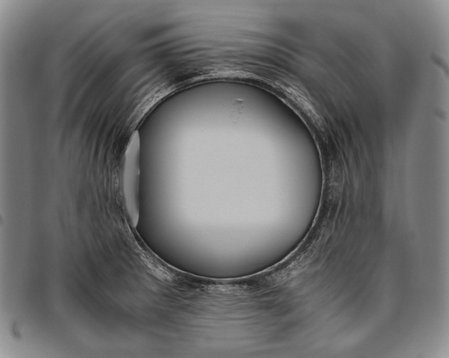 X0000096641281200802191211