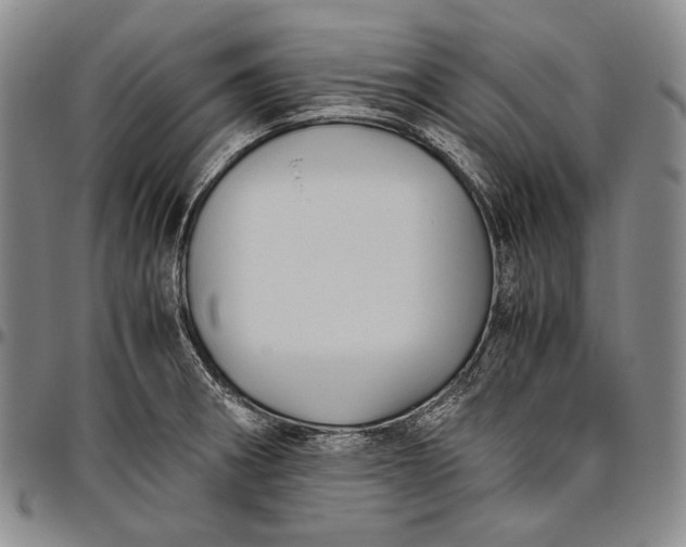 X0000096641282200802191211