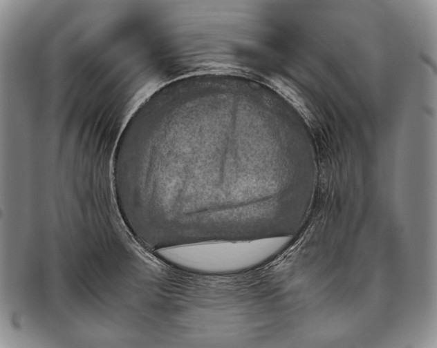 X0000096641283200802191211