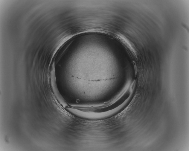 X0000096641284200802191211