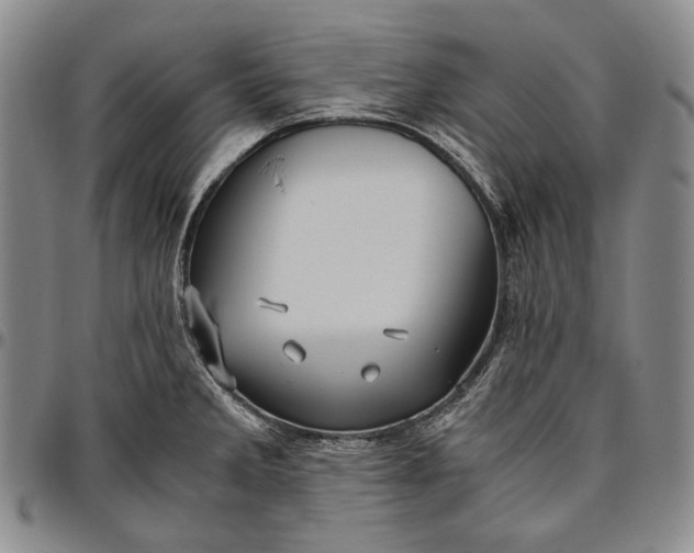 X0000096641285200802191211