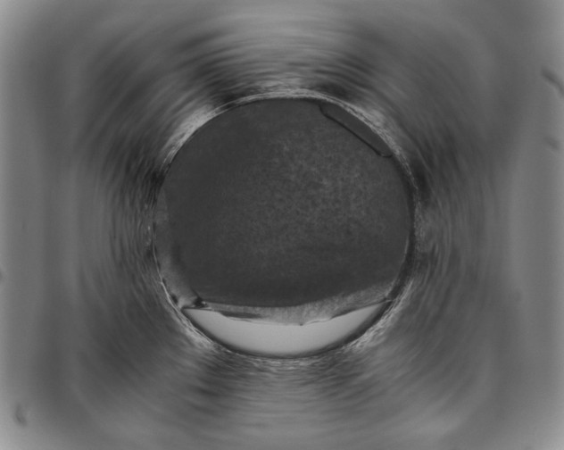 X0000096641289200802191211