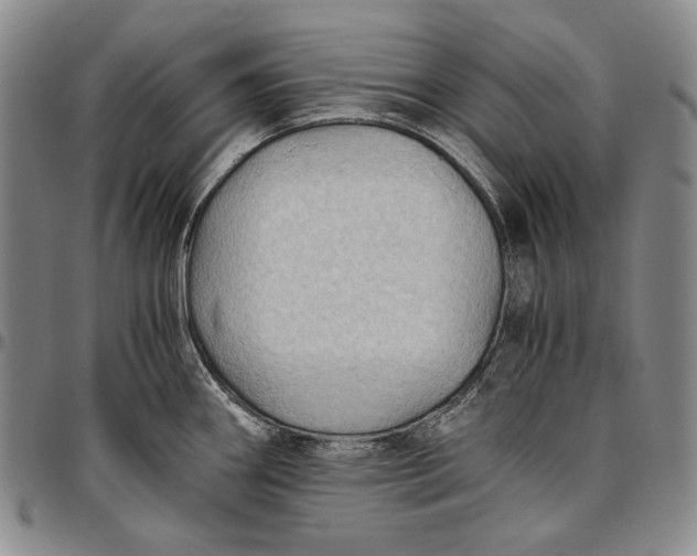 X0000096641290200802191211