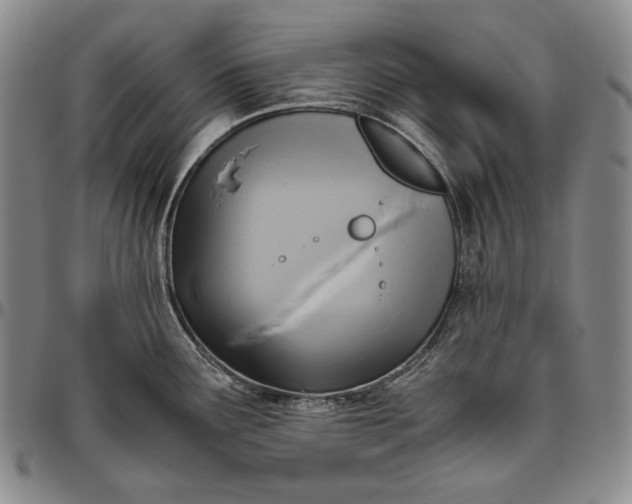 X0000096641291200802191211