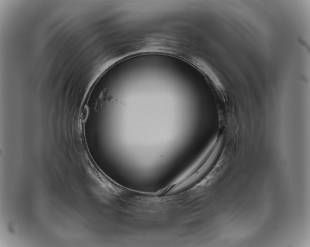 X0000096641292200802191211