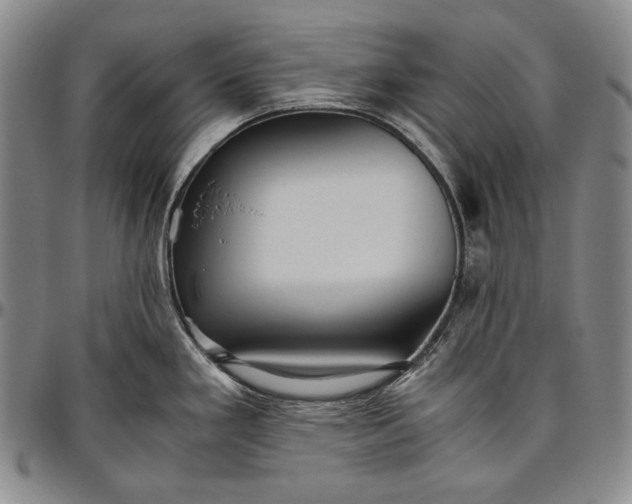 X0000096641293200802191211